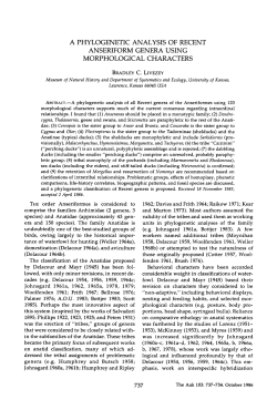a phylogenetic analysis of recent anseriform genera using