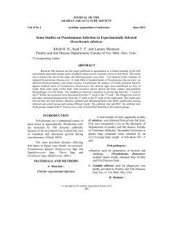 Some Studies on Pseudomonas Infection in Experimentally Infected