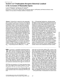Inositol 1,4,5-Trisphosphate Receptors Selectively Localized to the