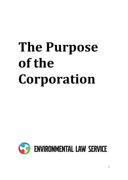 The Purpose of the Corporation Project