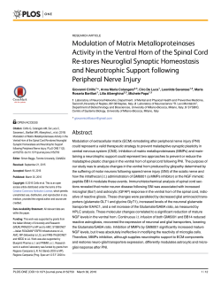 Modulation of Matrix Metalloproteinases Activity in the Ventral Horn
