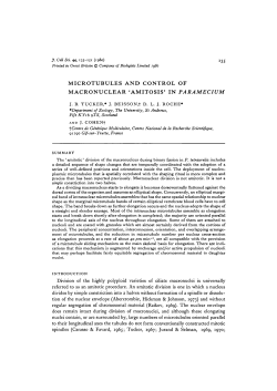 microtubules and control of macronuclear