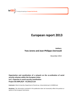 European report 2013 - European Commission