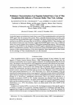 Preliminary Characterization of an Organism Isolated