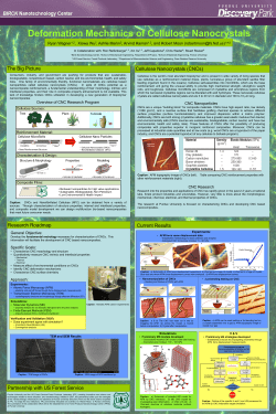 Poster - Deformation Mechanics of Cellulose Nanocrystals