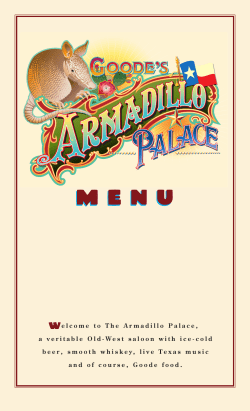 elcome to The Armadillo Palace, a veritable Old