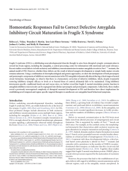 Homeostatic Responses Fail to Correct Defective Amygdala