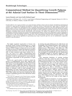 Computational Method for Quantifying Growth Patterns at the