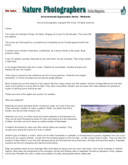 Environmental Appreciation