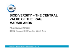 biodiversity – the central value of the iraqi marshlands