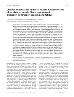Chloride conductance in the transverse tubular system of rat skeletal