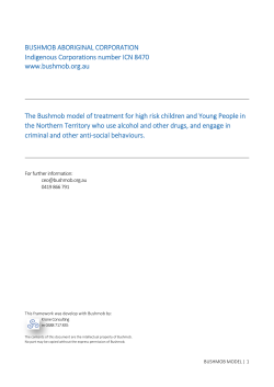 BushMob Model Of Treatment