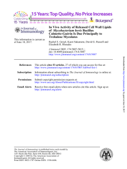 Trehalose Mycolates Calmette-Guérin Is Due Principally to Bacillus