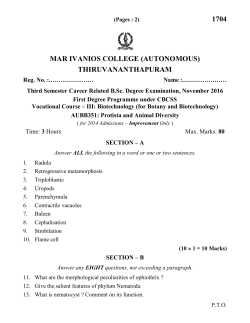 Protista and Animal Diversity 2016 Improvement