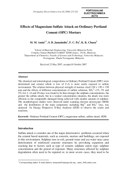 Effects of Magnesium Sulfate Attack on Ordinary Portland Cement