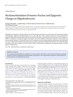 Mechanostimulation Promotes Nuclear and Epigenetic Changes in