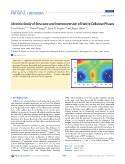 Ab Initio Study of Structure and Interconversion of Native Cellulose