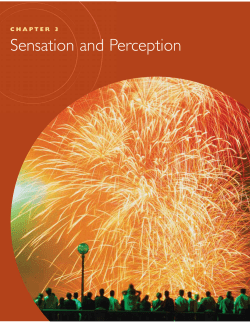 CHAPTER 3 Sensation and Perception