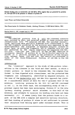 SUMMARY •L4C-labelled proteins from E. coli 30S ribosomal