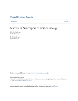 Survival of Neurospora conidia on silica gel