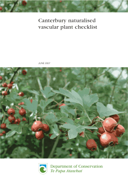 Canterbury naturalised vascular plant checklist