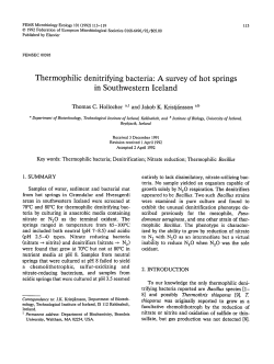 Thermophilic denitrifying bacteria: A survey of hot springs in
