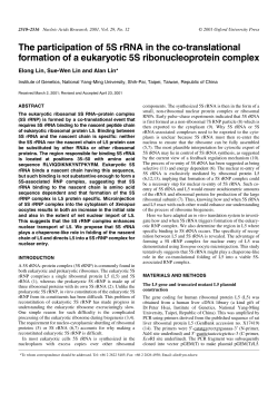 The participation of 5S rRNA in the co