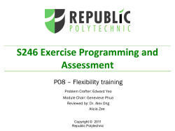 S246 P8_Facilitator Presentation