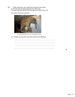 WB 17th Nov - Justus Learning