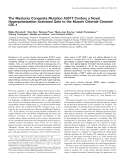 The Myotonia Congenita Mutation A331T Confers a Novel