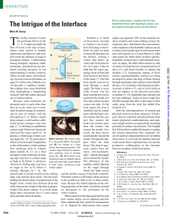 The Intrigue of the Interface