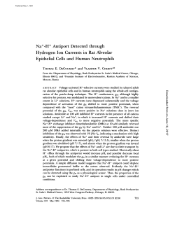 Na+-H + Antiport Detected through Hydrogen Ion Currents in Rat