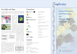 REPLICATOR Flyer