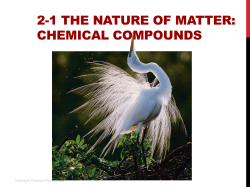 2-1 THE NATURE OF MATTER: CHEMICAL COMPOUNDS
