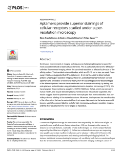 Aptamers provide superior stainings of cellular receptors studied