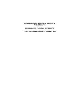 2013 - Lutheran Social Service of Minnesota