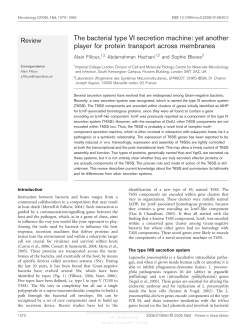 The bacterial type VI secretion machine: yet another