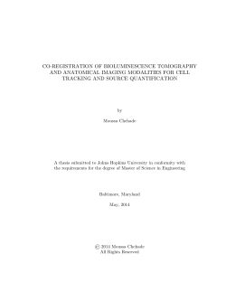 CO-REGISTRATION OF BIOLUMINESCENCE TOMOGRAPHY AND