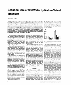 Seasonal Use of Soil Water by Mature Velvet