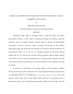 MICROALGAE BIOPHOTONIC OPTIMIZATION OF