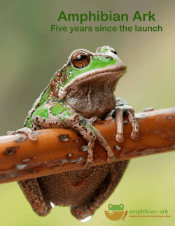 Amphibian Ark - Five years since the launch