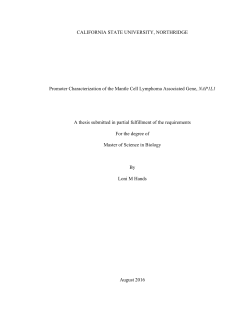 Promoter Characterization of the Mantle Cell Lymphoma Associated