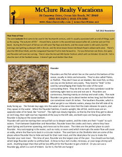Fall 2013 Newsletter