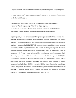 Atypical structure and subunit composition of respiratory