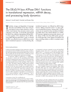 The DExD/H box ATPase Dhh1 functions in translational repression