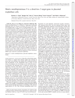 Matrix metalloproteinase 9 is a distal-less 3 target