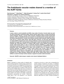 The Arabidopsis vacuolar malate channel is a member of the ALMT
