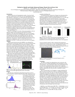 Methods to Identify and Isolate Quiescent Human Muscle Derived