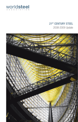 21ST CENTURY STEEL 2008-2009 Update