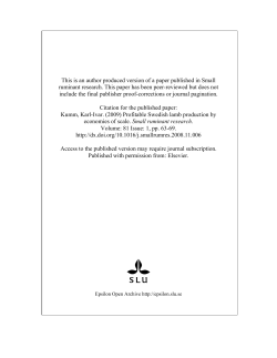 Profitable Swedish lamb production by economies of scale